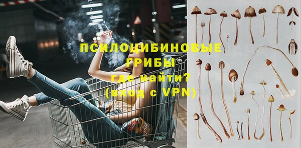 дживик Армянск